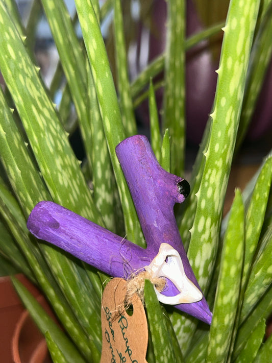 Purple Cedar Kuripe with Sea Shell & Onyx