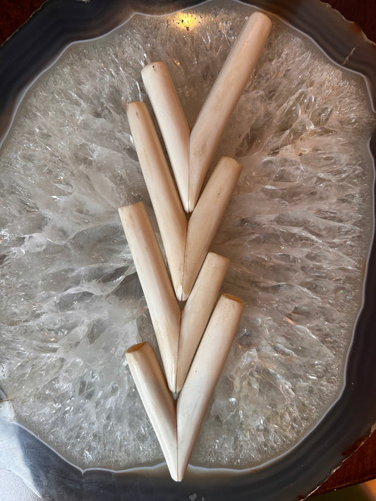 Bone Kuripes
